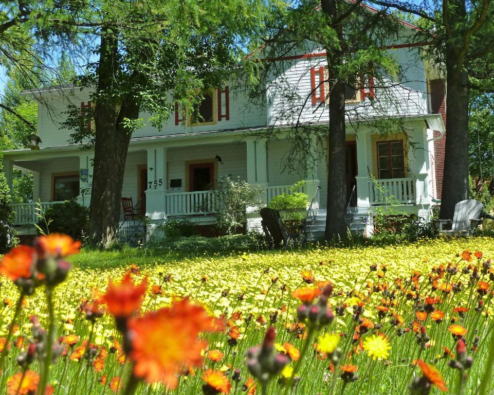 Bed and breakfast Almatoit Extérieur photo